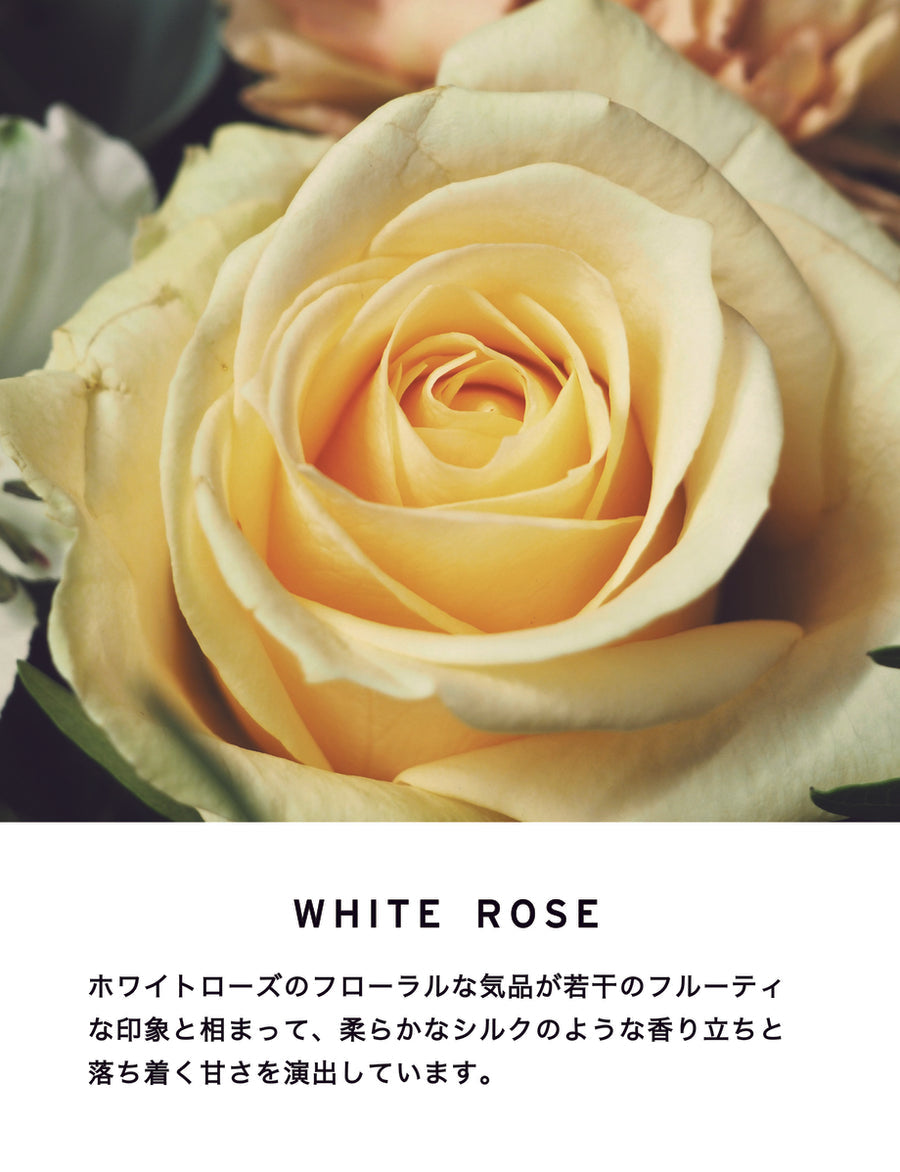 White Rose ホワイトローズ