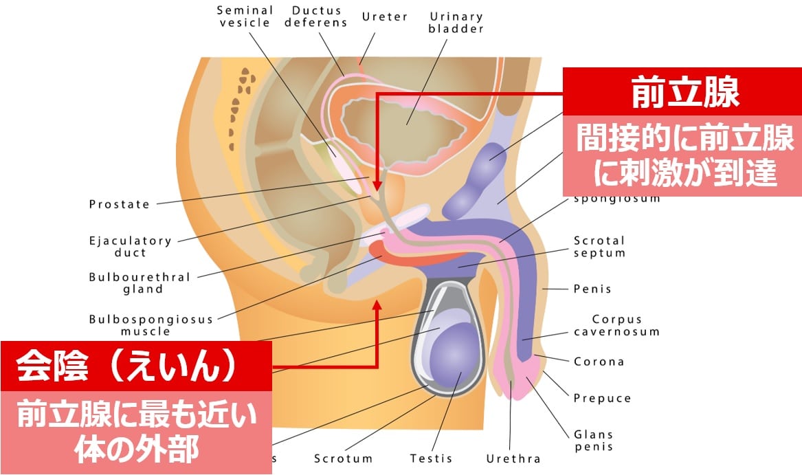 豊明市で人気のリラクゼーションサロン｜ホットペッパービューティー