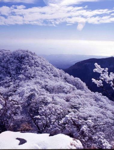 高坂りと の一覧 –