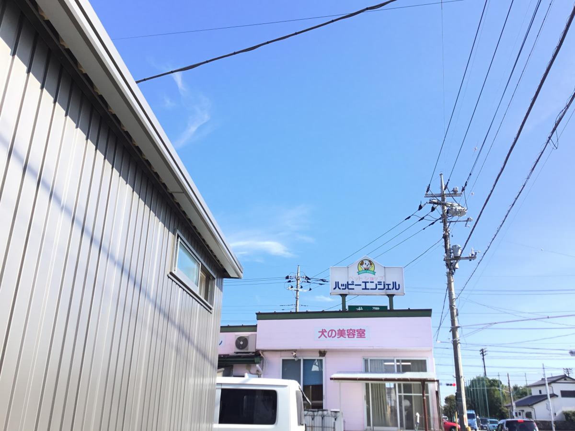 埼玉県深谷市のトリミングサロンHAPPYANGEL