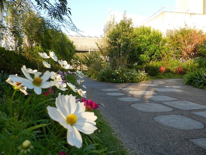 画像・写真 | 『ひろプリ』あげは、ましろの家に住む