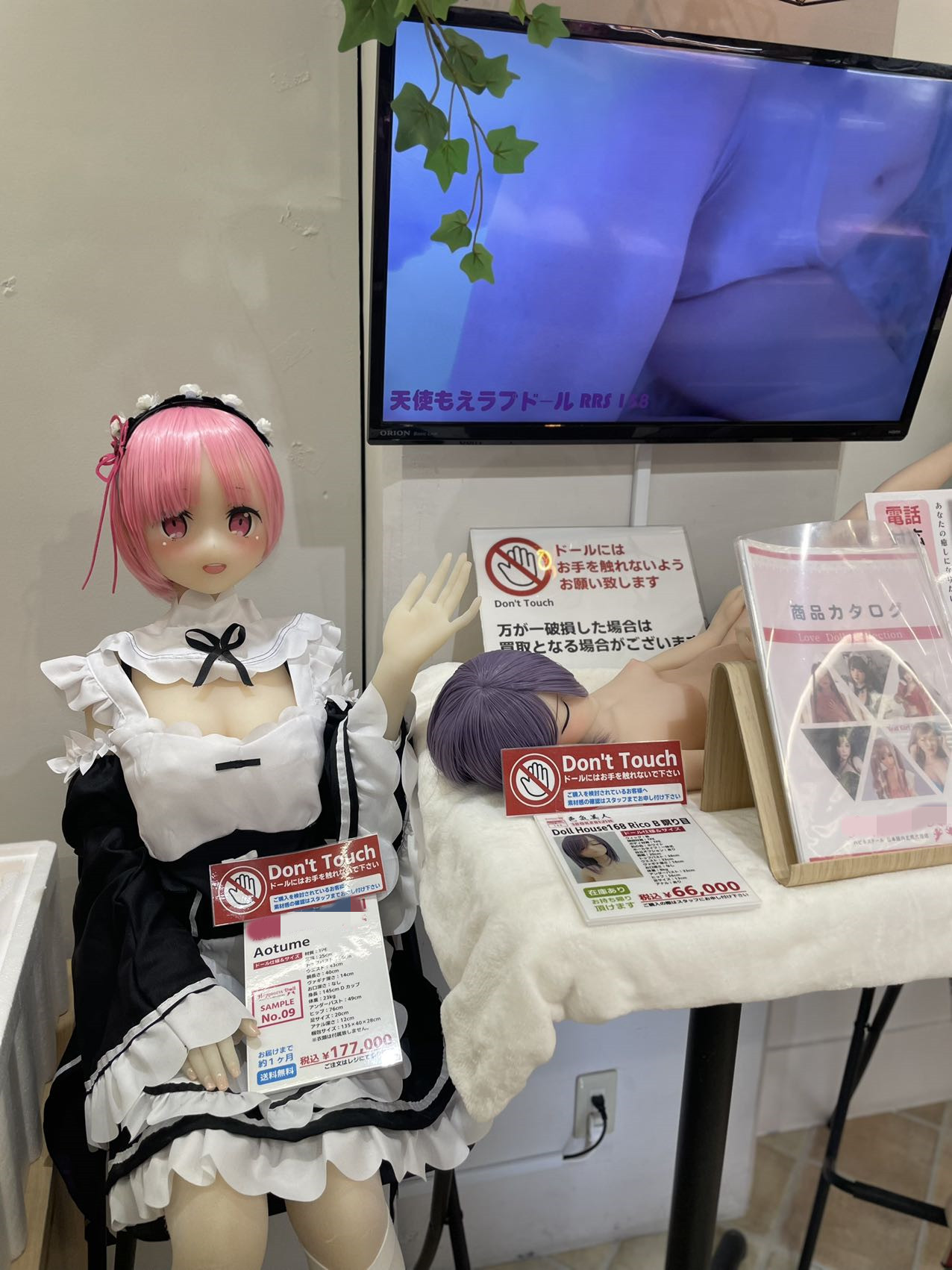 人気風俗嬢が行く!「ラブドールのショールーム in 秋葉原」