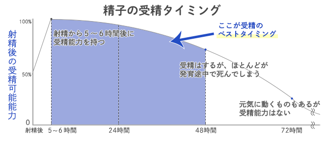 駿河屋 -【アダルト】<中古>時間の限り永久発射!! 無制限ぶっ通し射精ソープ ヌキに抜かれた合計13発射 金玉空っぽになるまで帰しませんよ