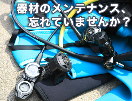 ６月３０日～７月２日北海道ツアー - 創業４５年安心と信頼の実績！ダイビングのご相談はコスミックにお任せください！