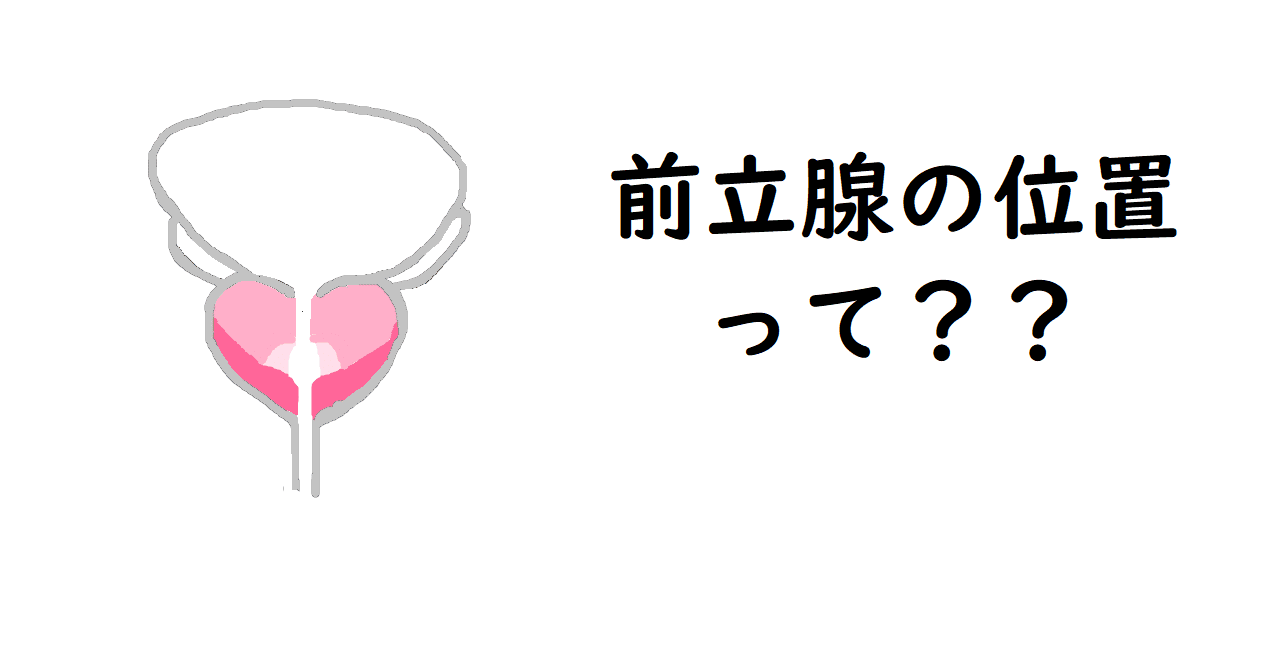 創作BLオタクさん、【前立腺を触る時の体位や触った時の感触】知りたくない？｜BLニュース ちるちる