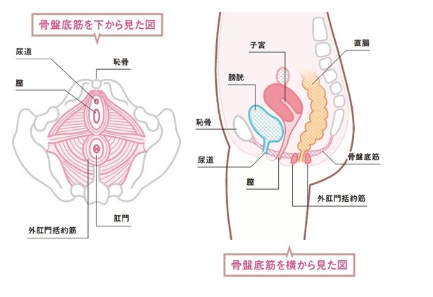 肛門がズキズキと痛む理由って何？痛み別の症状や対処法を解説