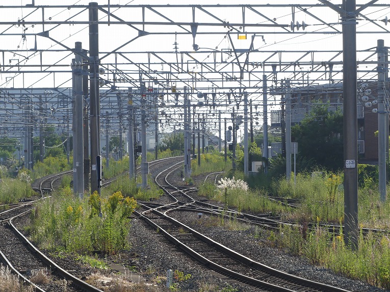 9月3日博多16:45、快速鳥栖ゆきに。, 停車駅は南福岡、大野城、二日市、原田、基山です。, #JR九州,