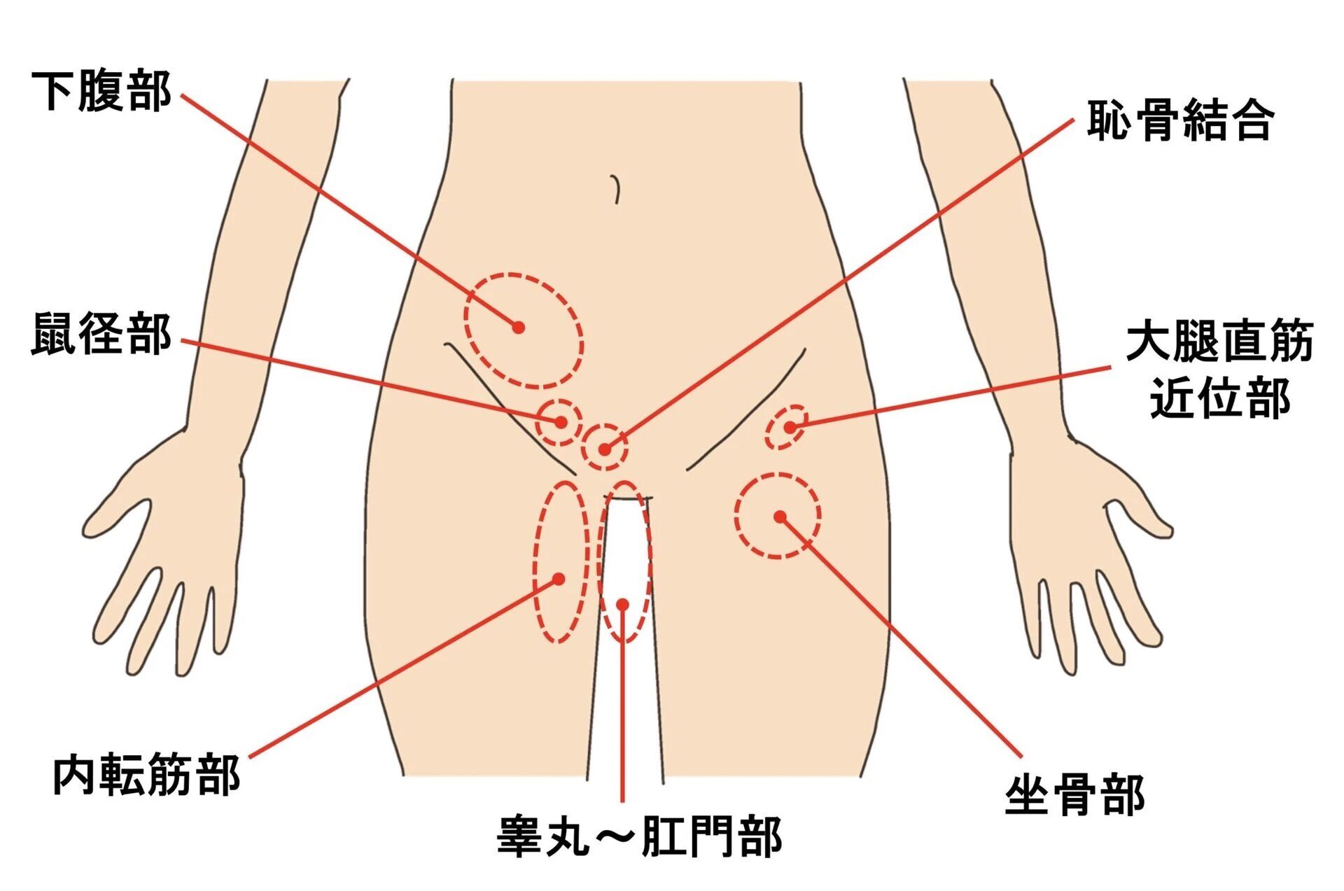 ヘルニアセンター - 消化器センター -