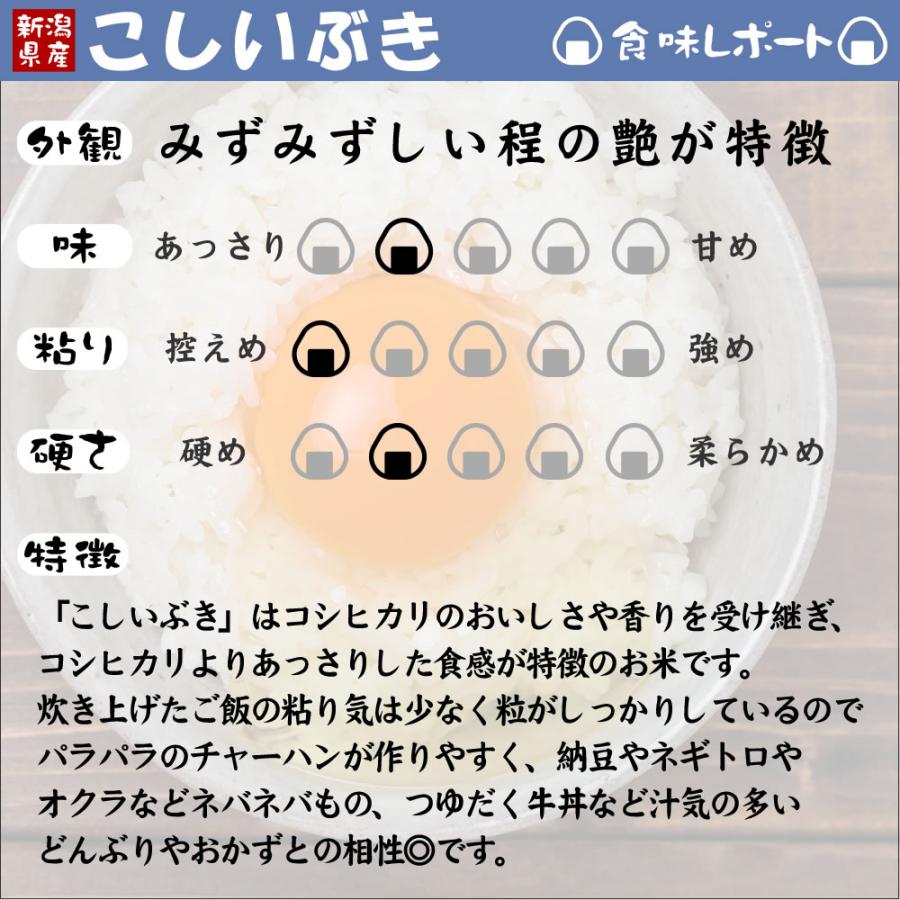 令和6年産 臼玉米(こしいぶき・精米)5kg×2のレビュー・口コミ一覧 | ふるさと納税サイト「さとふる」