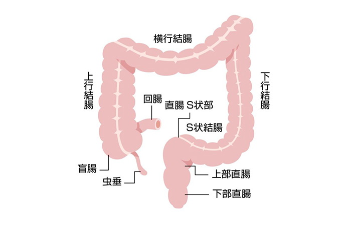 エロ漫画】S字結腸に射精されるまでイキっぱなしな個性事故【エロ同人誌】 >> Hentai-One