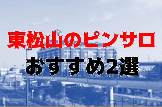 東松山のピンサロ情報は風俗Navi