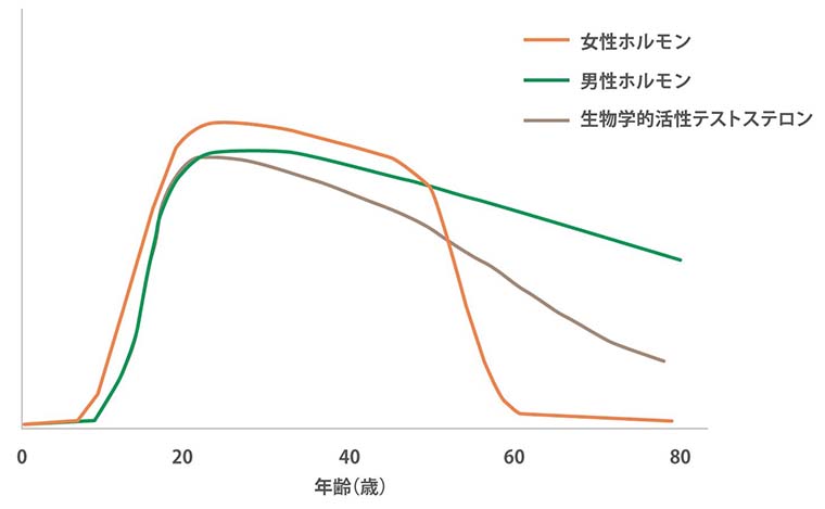 男性ホルモンの一種であるテストステロンの減少で起こる症状や増やすための方法 - 健康情報コラム