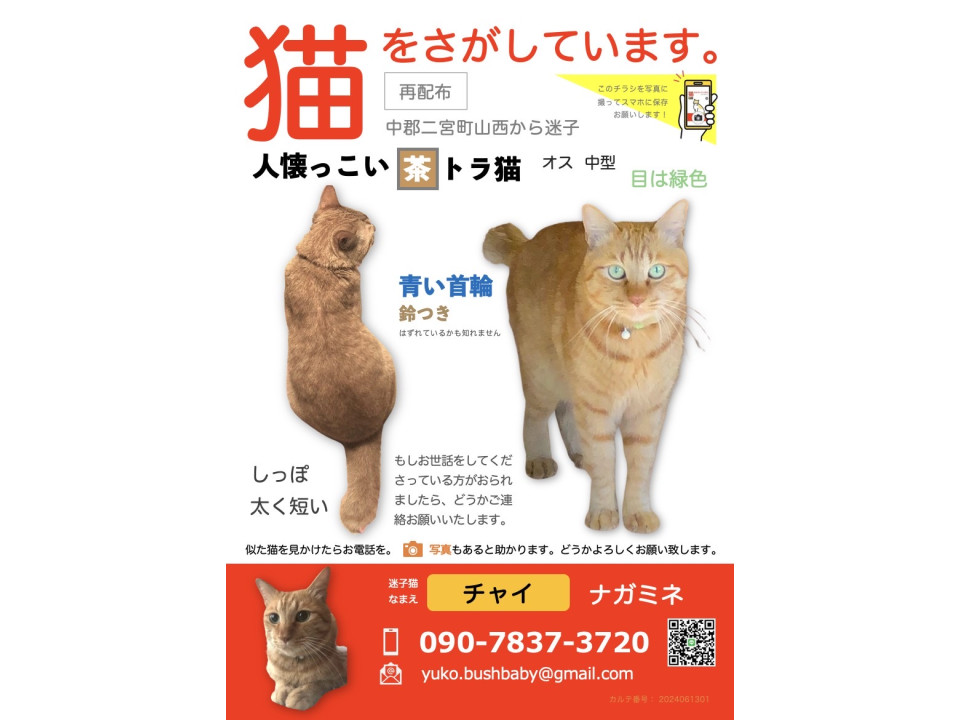 横浜駅西口・鶴屋町で食と音楽の祭り「ぐるーびー横丁」 神輿とニューオリンズジャズのコラボも -