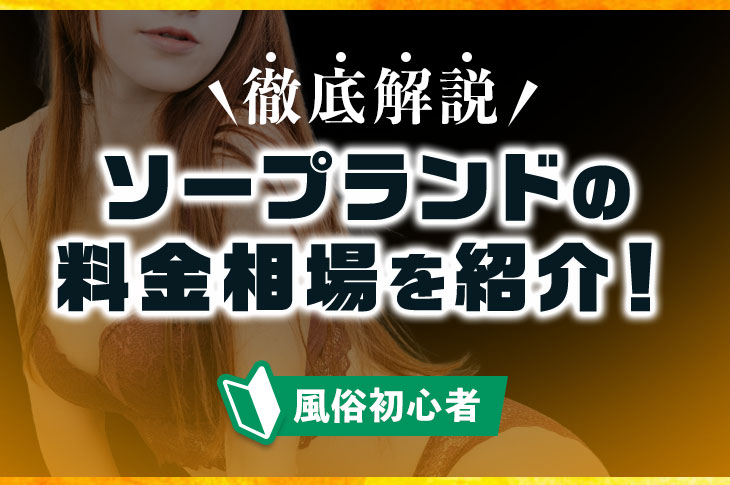 ソープランドの料金総額は最低1万円！？入浴料とサービス料の違い・高級店の相場｜駅ちか！風俗雑記帳