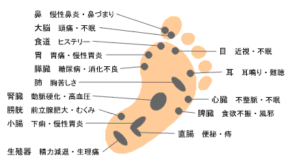 academic-2 | 東京 戸越銀座の足つぼ＆リフレ/整体アシガル屋