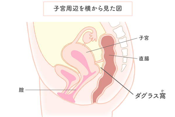 性交体位 - Wikipedia