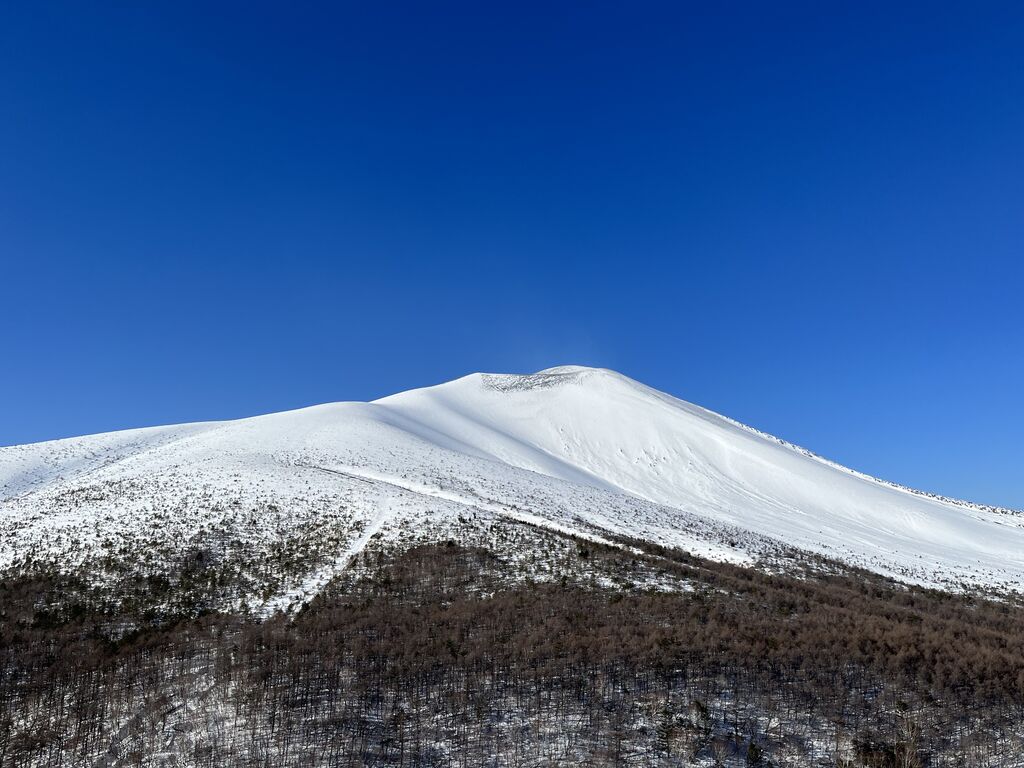 京都山科 史跡楽訪 髭茶屋・追分地域 散策コース