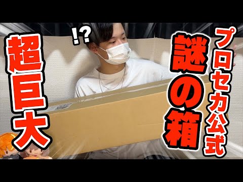 おっPさん、早朝に視聴者と出会ってしまう【プロセカ】 - YouTube