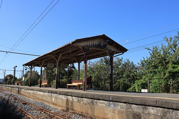 秩父鉄道秩父本線 持田駅～ソシオ流通センター駅