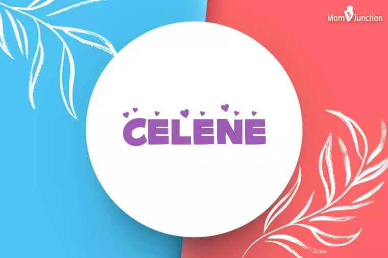 Celene Off Shoulder