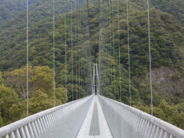 綾の照葉大吊橋 | 子供とお出かけ情報「いこーよ」