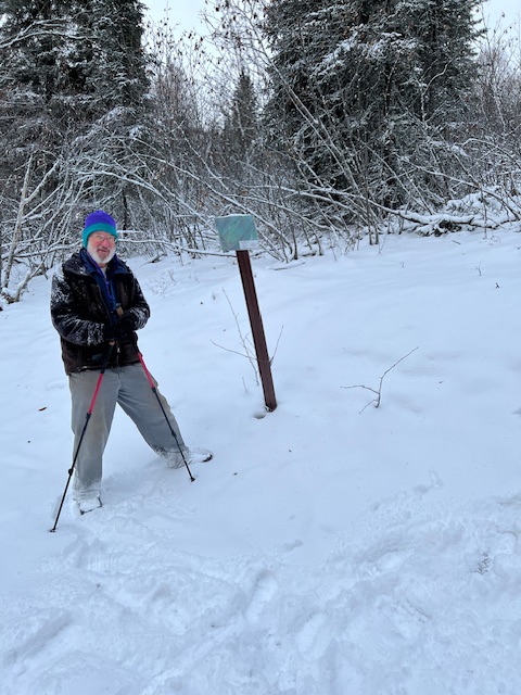 A man cross skis only