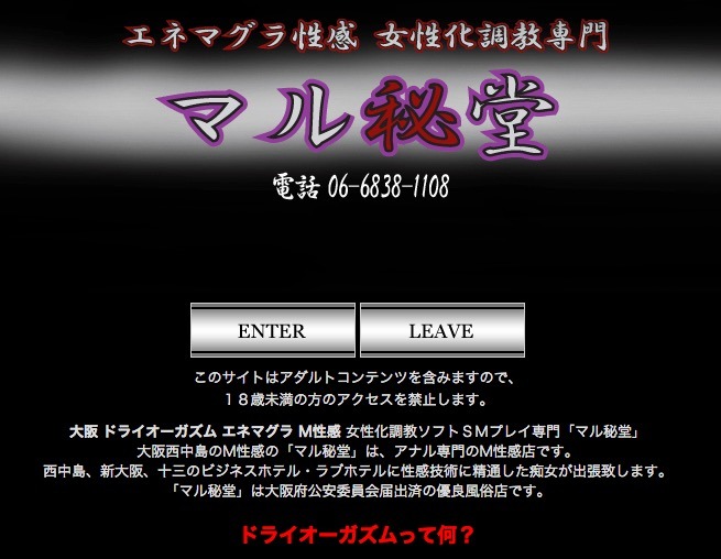 AVで観る以上のスケベ痴女があなたを卑猥にイタズラします！刺激は射精の100倍以上！男の潮吹き＆ドライオーガズム 「AVで観る以上のスケベ痴女があなたを卑猥にイタズラします！刺激は射精の100倍以上！男の潮吹き＆ドライオーガズム」｜日本橋発｜出張型・デリバリー  