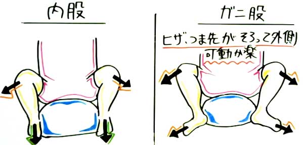 今夜からトライ！女性が騎乗位でいくコツ・6個を解説【風俗嬢が教えます】 | 風俗部