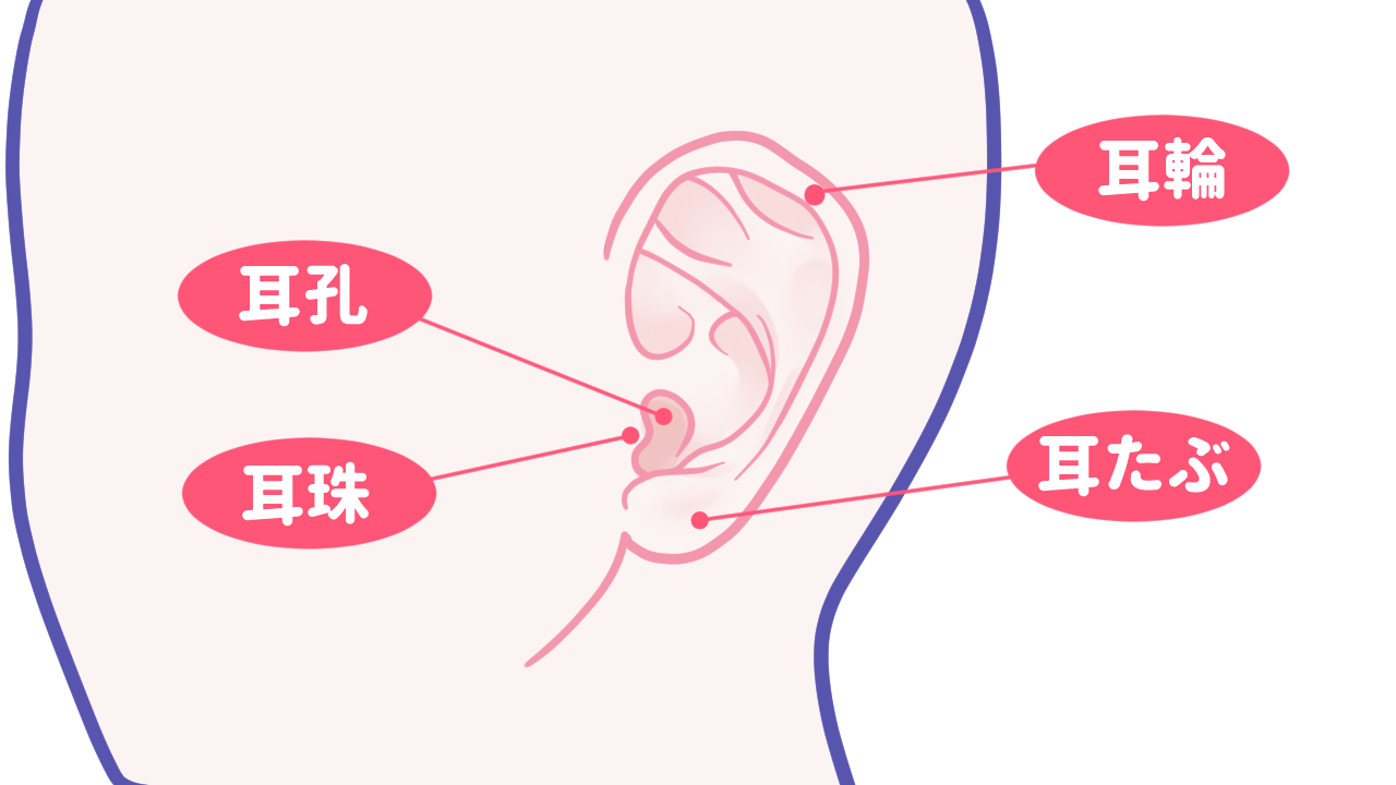 相手をイカせる耳責めのやり方！現役風俗嬢がコツや使えるセリフも紹介｜ココミル