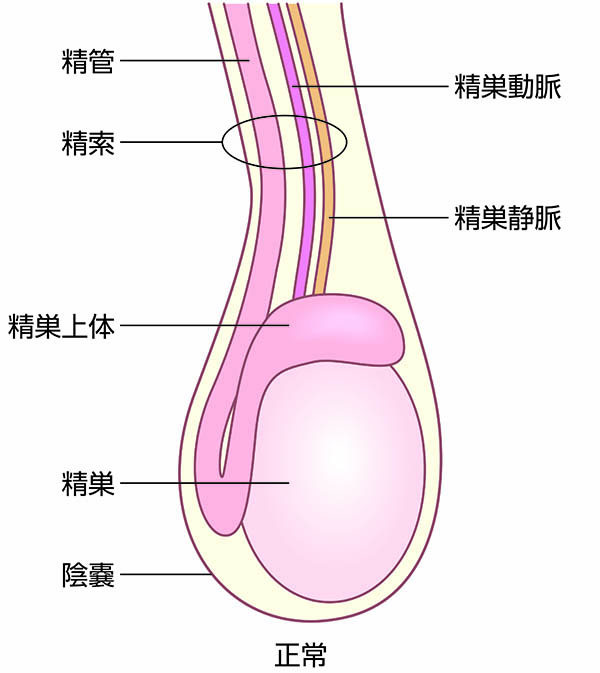 金玉縛ってオナニー