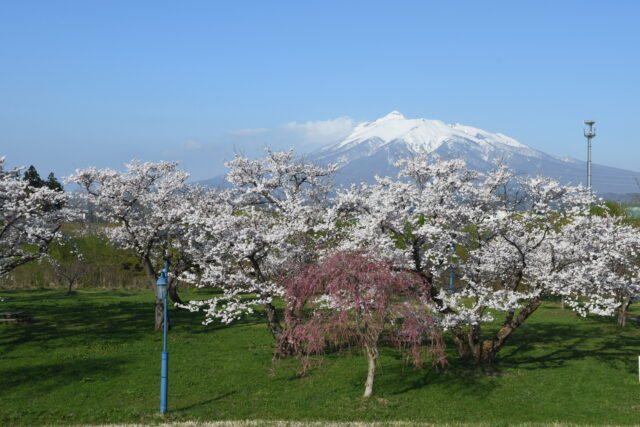 岩木川河川公園 - Time