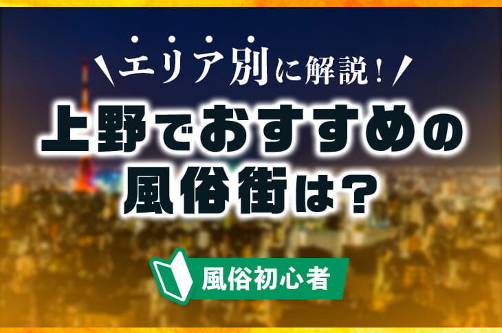 体験レポ】「上野」のピンサロで実際に遊んできたのでレポします。上野の人気・おすすめピンクサロン1選 | 矢口com