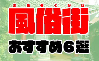 超有名温泉地・箱根温泉のピンクコンパニオン体験談！箱根の女の子は蠱惑（こわく）だに！｜スーパーコンパニオン宴会旅行なら宴会ネット