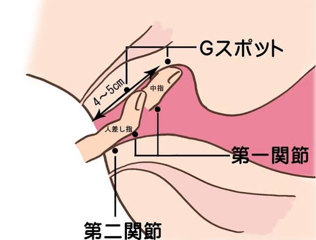 千人斬りが伝授】手マンで潮吹きさせるにはポイントがある！女を虜にする手マン術！ | happy-travel[ハッピートラベル]