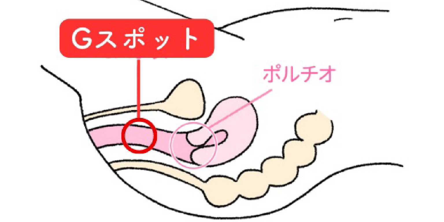 おち○ちんワームあった！ すげー人気らしく発売から5年経つけど初めて売ってるの見た ほんとは3.5欲しかったけど2.5しかなかった