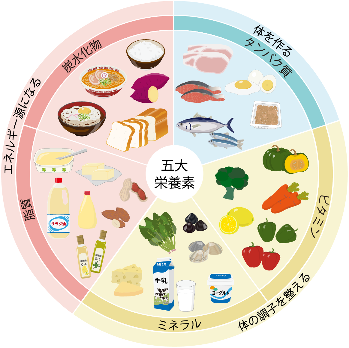 五大栄養素とは？それぞれの働き・役割や食品をイラストで紹介！ | お食事ウェブマガジン「グルメノート」