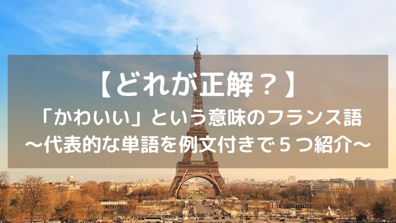 説明欄check！】ラテ子の無重力空間！英文の意味は、説明欄をcheck！ / Le Chat