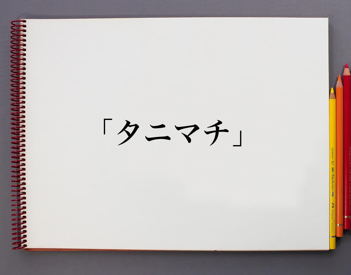 プロレスバカ者たちその117～『真・プロレスラーは観客に何を見せているのか』（TAJIRI・著） | 続・新装