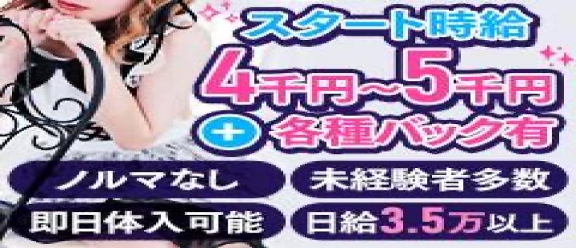 すすきの(札幌)のキャバクラ求人【バニラ】で高収入バイト