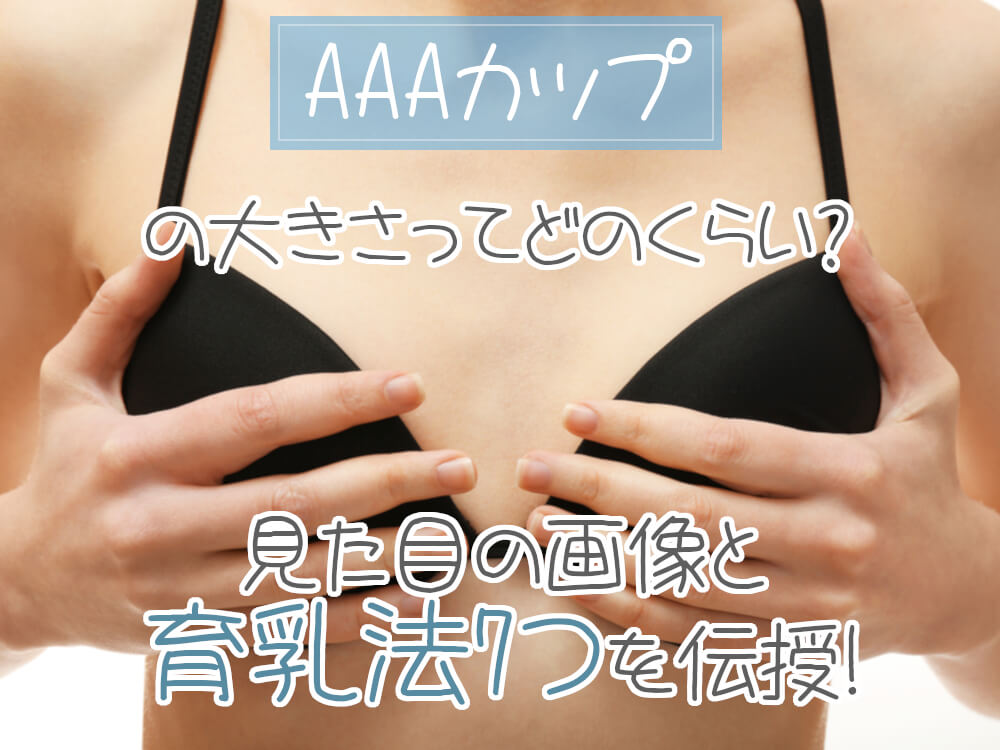 リアルシリコンおっぱい Aカップ 400g バストアップ 人工乳房