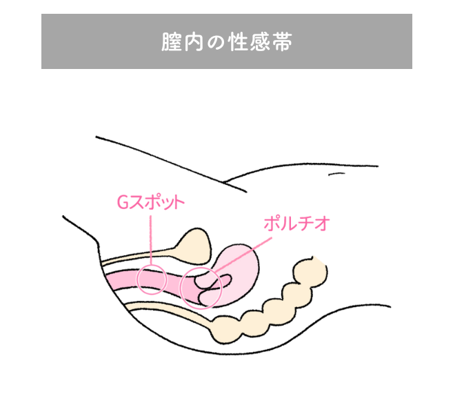 クリイキとは？クリトリスでイクためのコツと開発方法！ - 夜の保健室