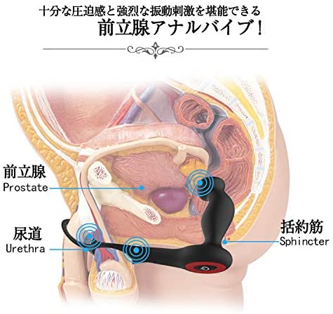前立腺バイブおすすめ人気ランキング15選！アナル開発バイブを厳選して紹介 – toymania