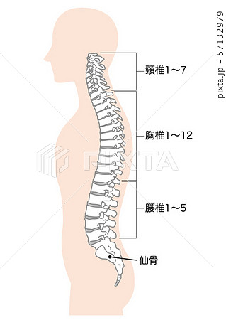 もうひとりのあなた : 頭蓋仙骨治療法 : 小売業者