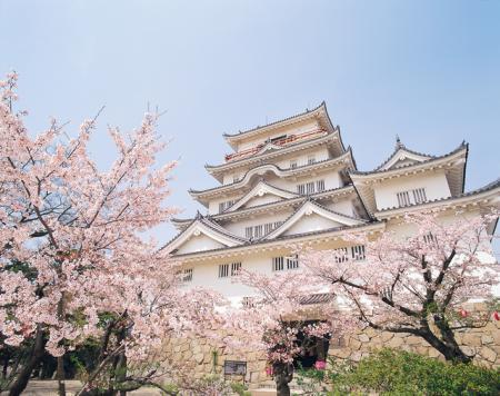 広島テレビ | 12月16日は大相撲福山場所へ！