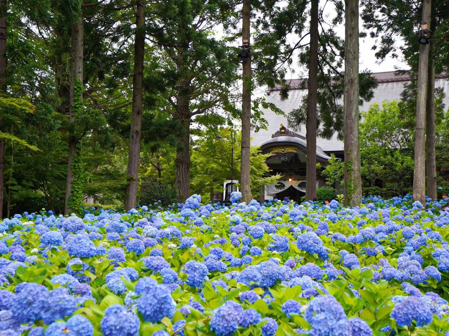 ボールパーク秋田｜BALLPARK AKITA