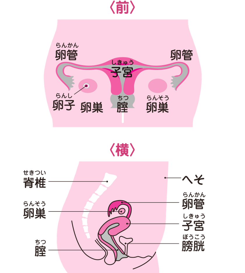 メンズVIO脱毛中に勃起してしまったら？体験談と対処法を解説 | ミツケル