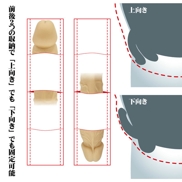 女性に好かれる上反りペニスとは？上向きペニスとの違いやトレーニング方法など | ザヘルプM