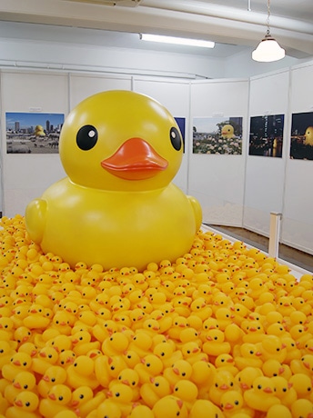 大阪ダックツアー】水都大阪を満喫・水陸両用観光バスで大阪観光 Welove大阪・大阪のグルメ、イベント、観光、お土産情報サイト