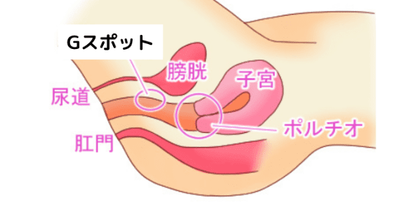 手マン・指マンで女性をイカせる完全教材【図解・動画】 | セクテクサイト