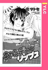 秘密のワンルーム』体験談。広島中区の癒し系で丁寧な対応は好感度高い小柄だけども大きめパイのセラピスト。 | 全国のメンズエステ体験談・口コミなら投稿情報サイト 